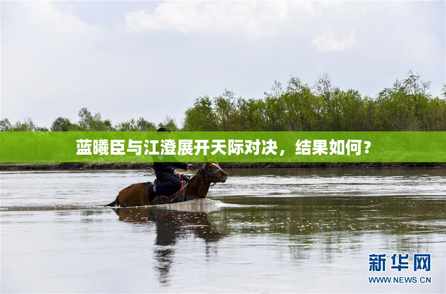 蓝曦臣与江澄展开天际对决，结果如何？