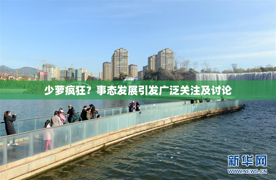 少萝疯狂？事态发展引发广泛关注及讨论