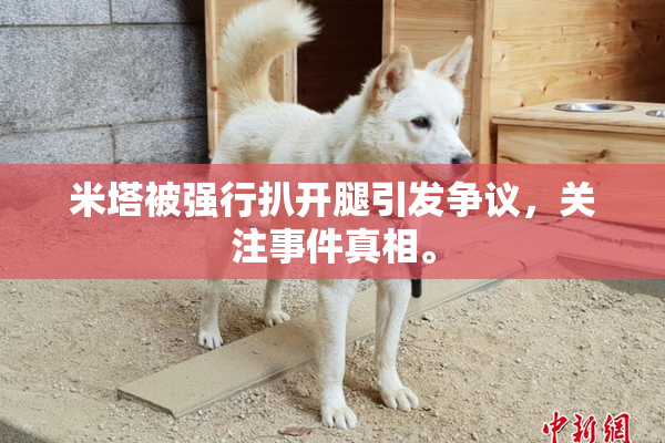 米塔被强行扒开腿引发争议，关注事件真相。