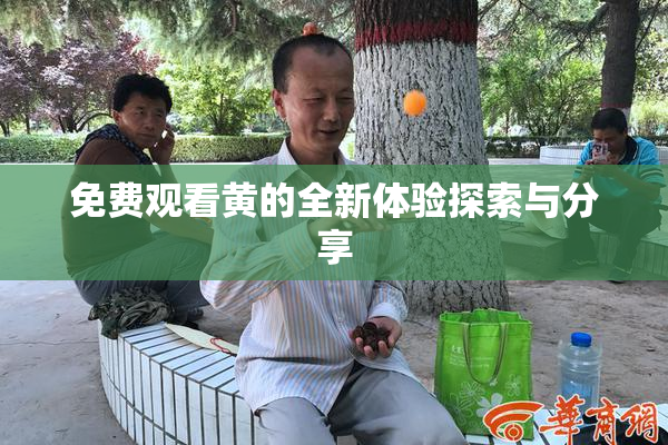免费观看黄的全新体验探索与分享