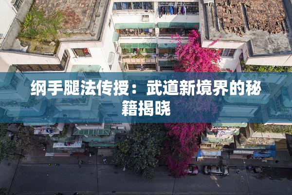 纲手腿法传授：武道新境界的秘籍揭晓