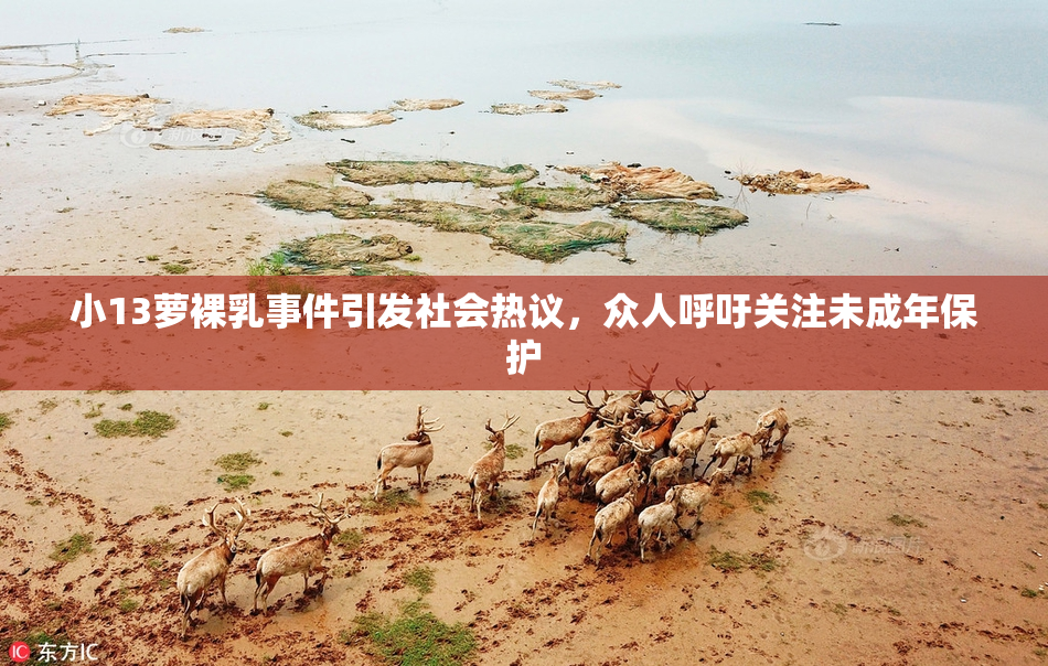 小13萝裸乳事件引发社会热议，众人呼吁关注未成年保护