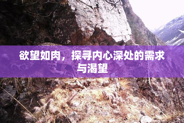 欲望如肉，探寻内心深处的需求与渴望