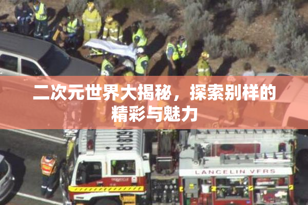 二次元世界大揭秘，探索别样的精彩与魅力