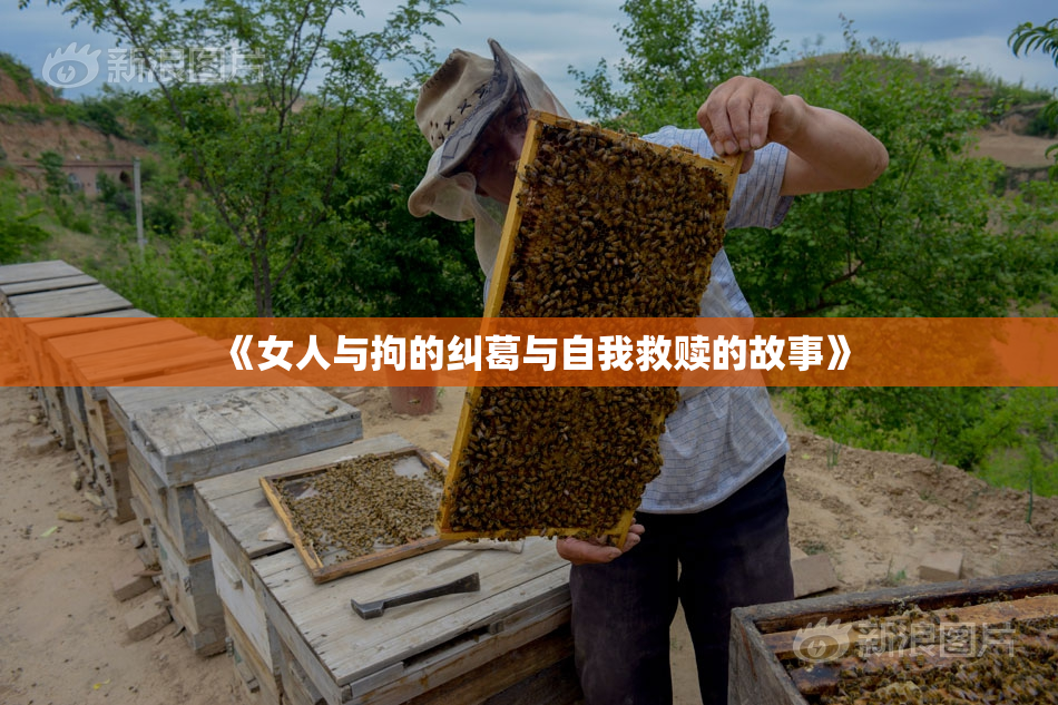 《女人与拘的纠葛与自我救赎的故事》