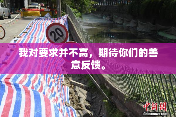 我对要求并不高，期待你们的善意反馈。