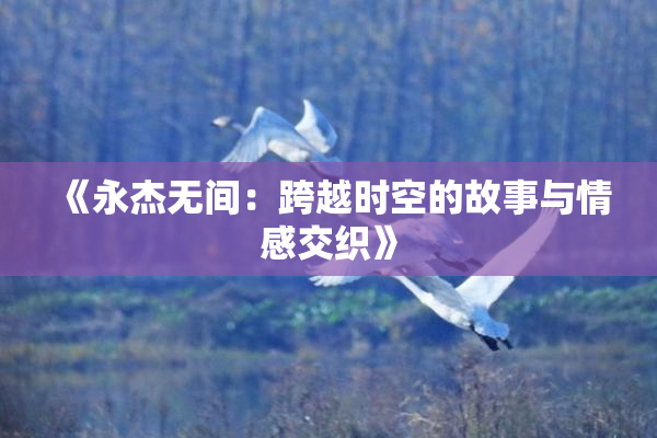 《永杰无间：跨越时空的故事与情感交织》