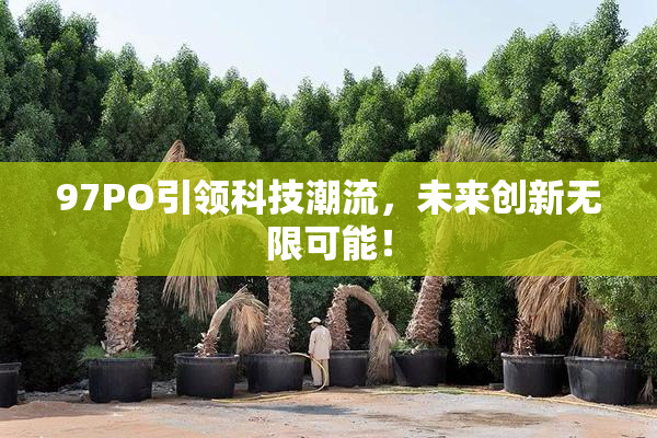97PO引领科技潮流，未来创新无限可能！