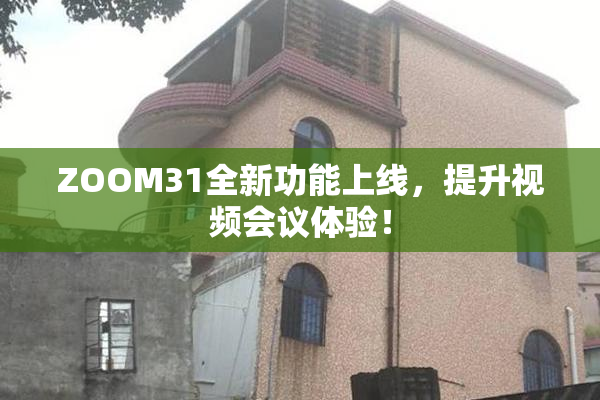 ZOOM31全新功能上线，提升视频会议体验！