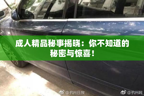 成人精品秘事揭晓：你不知道的秘密与惊喜！
