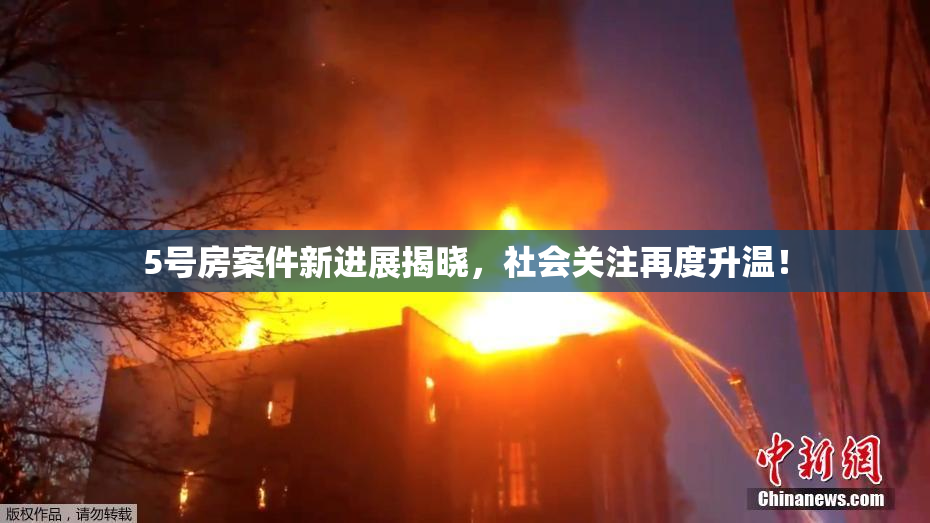 5号房案件新进展揭晓，社会关注再度升温！
