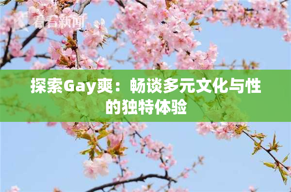 探索Gay爽：畅谈多元文化与性的独特体验