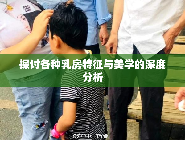 探讨各种乳房特征与美学的深度分析