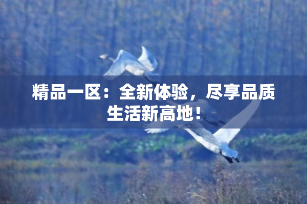 精品一区：全新体验，尽享品质生活新高地！