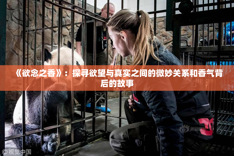 《欲念之香》：探寻欲望与真实之间的微妙关系和香气背后的故事