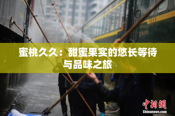 蜜桃久久：甜蜜果实的悠长等待与品味之旅