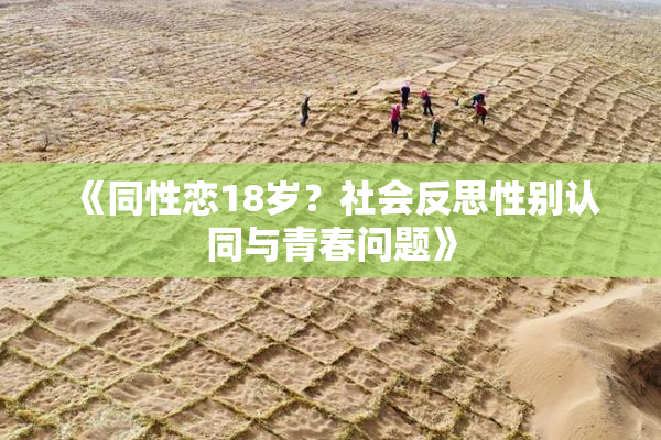 《同性恋18岁？社会反思性别认同与青春问题》