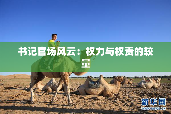 书记官场风云：权力与权责的较量