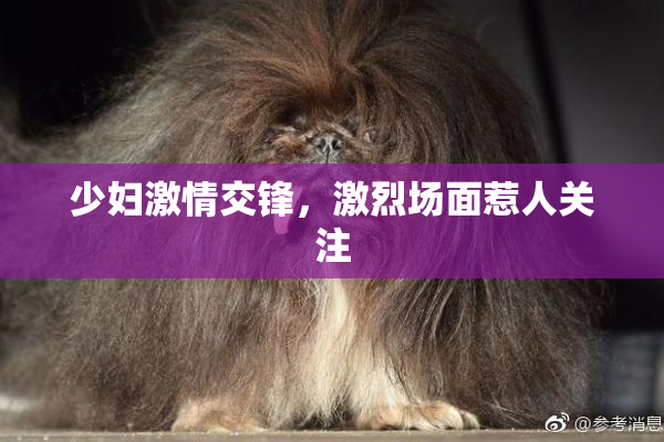 少妇激情交锋，激烈场面惹人关注