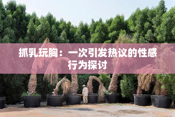 抓乳玩胸：一次引发热议的性感行为探讨