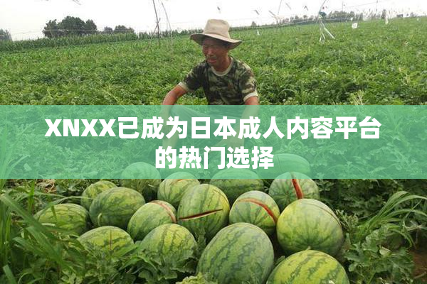 XNXX已成为日本成人内容平台的热门选择