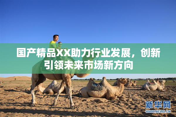 国产精品XX助力行业发展，创新引领未来市场新方向