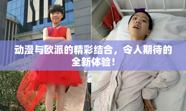 动漫与欧派的精彩结合，令人期待的全新体验！