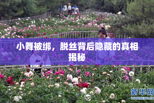 小舞被绑，脱丝背后隐藏的真相揭秘