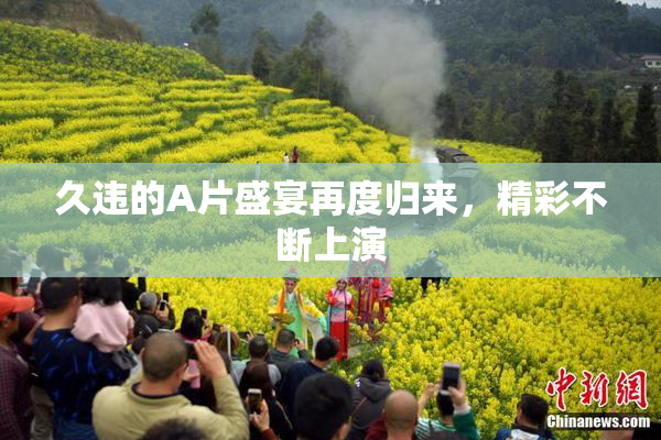 久违的A片盛宴再度归来，精彩不断上演