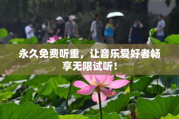 永久免费听重，让音乐爱好者畅享无限试听！