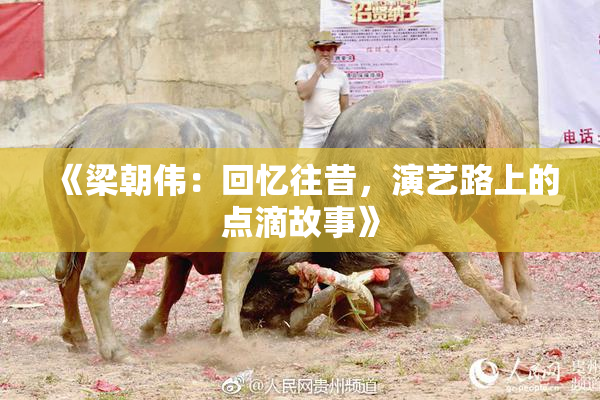 《梁朝伟：回忆往昔，演艺路上的点滴故事》