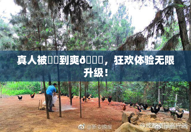 真人被❌‌到爽🔞，狂欢体验无限升级！