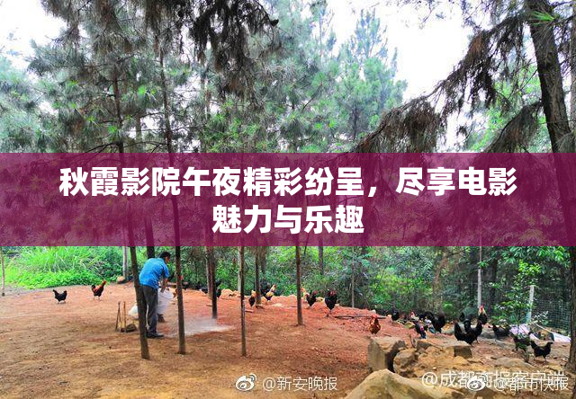 秋霞影院午夜精彩纷呈，尽享电影魅力与乐趣