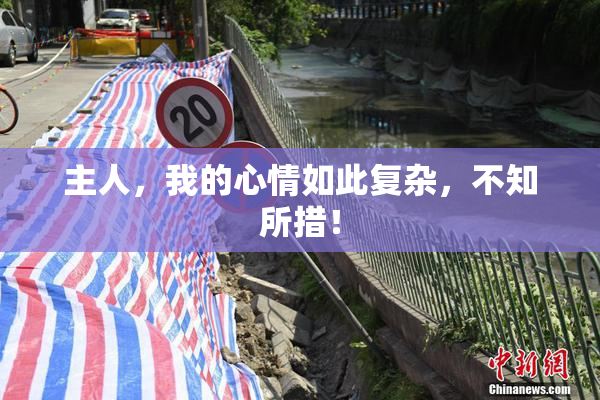 主人，我的心情如此复杂，不知所措！