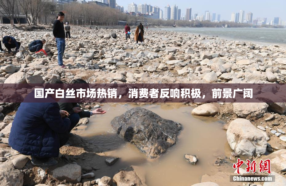 国产白丝市场热销，消费者反响积极，前景广阔