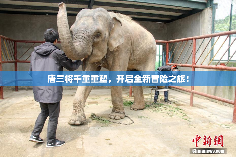 唐三将千重重塑，开启全新冒险之旅！