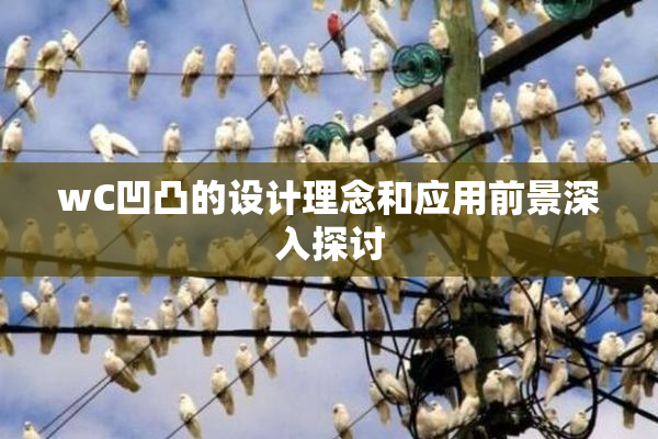 wC凹凸的设计理念和应用前景深入探讨