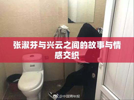 张淑芬与兴云之间的故事与情感交织