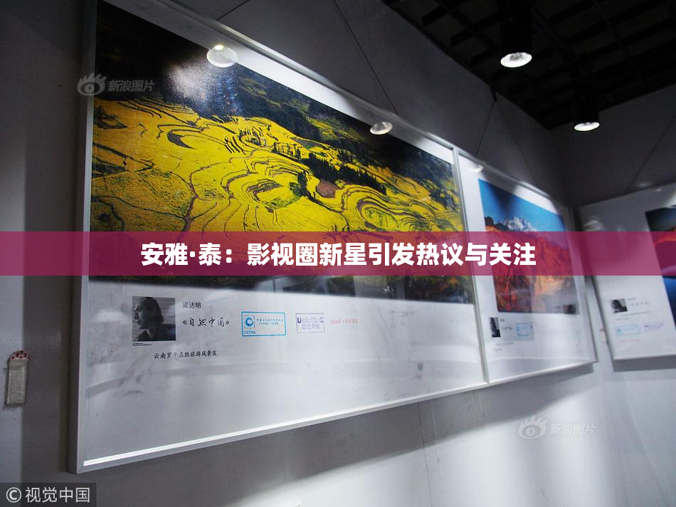 安雅·泰：影视圈新星引发热议与关注