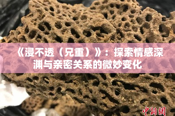 《浸不透（兄重）》：探索情感深渊与亲密关系的微妙变化