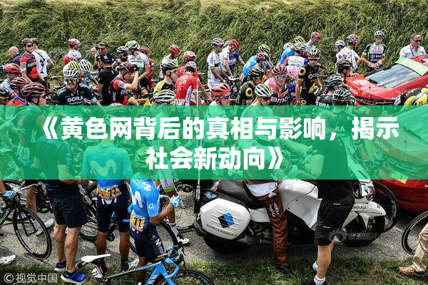 《黄色网背后的真相与影响，揭示社会新动向》