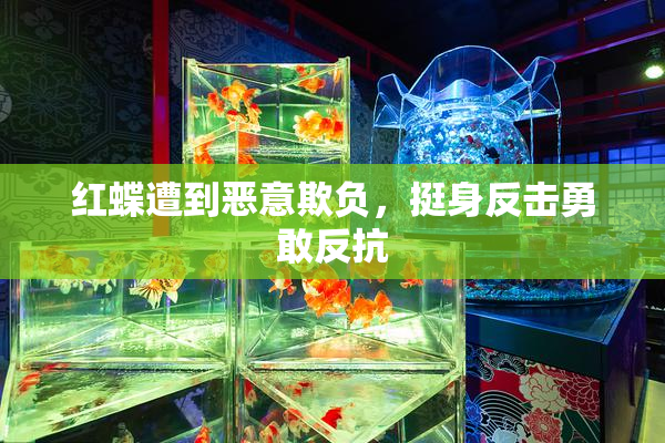 红蝶遭到恶意欺负，挺身反击勇敢反抗