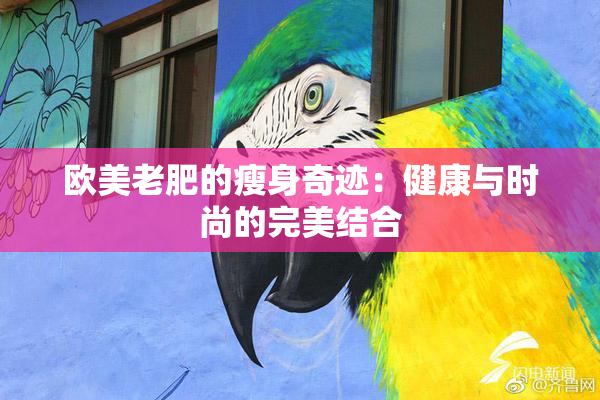 欧美老肥的瘦身奇迹：健康与时尚的完美结合