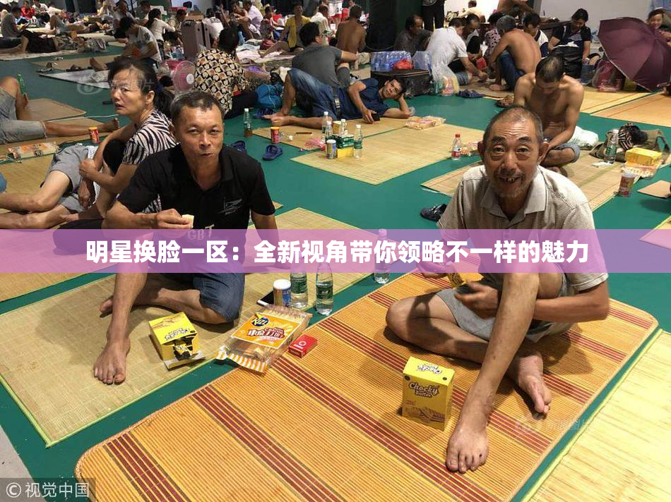 明星换脸一区：全新视角带你领略不一样的魅力