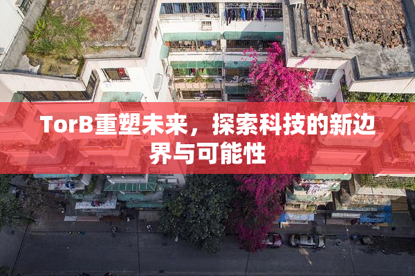 TorB重塑未来，探索科技的新边界与可能性
