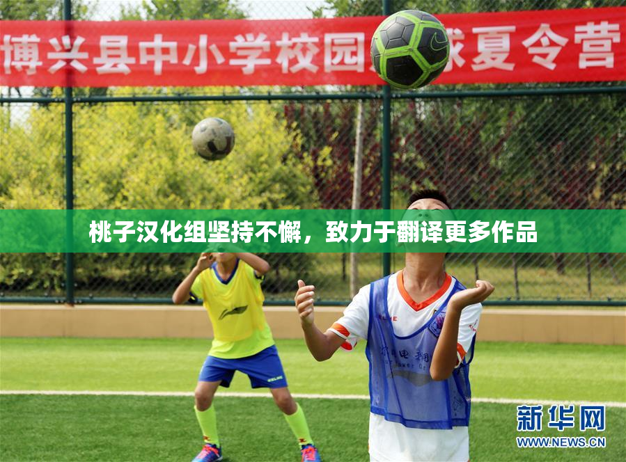桃子汉化组坚持不懈，致力于翻译更多作品