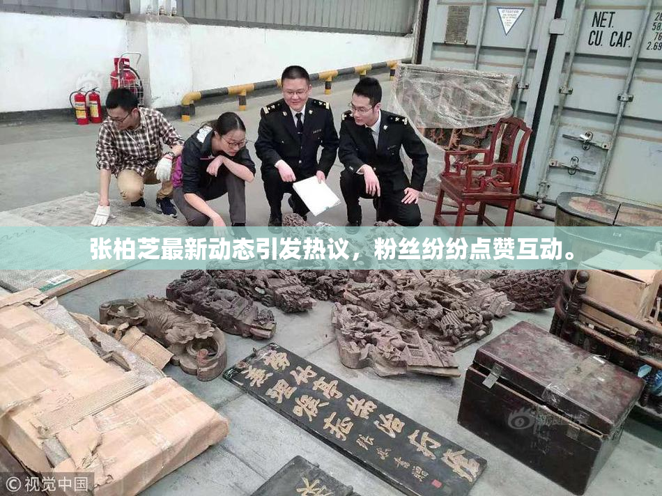 张柏芝最新动态引发热议，粉丝纷纷点赞互动。