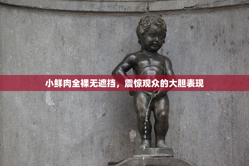 小鲜肉全裸无遮挡，震惊观众的大胆表现