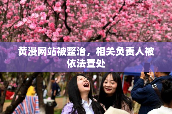 黄漫网站被整治，相关负责人被依法查处