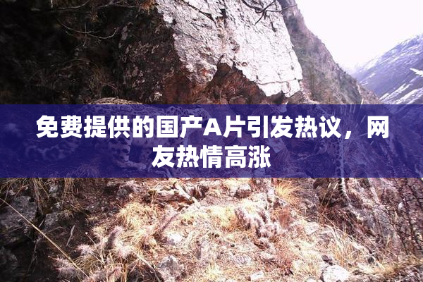 免费提供的国产A片引发热议，网友热情高涨